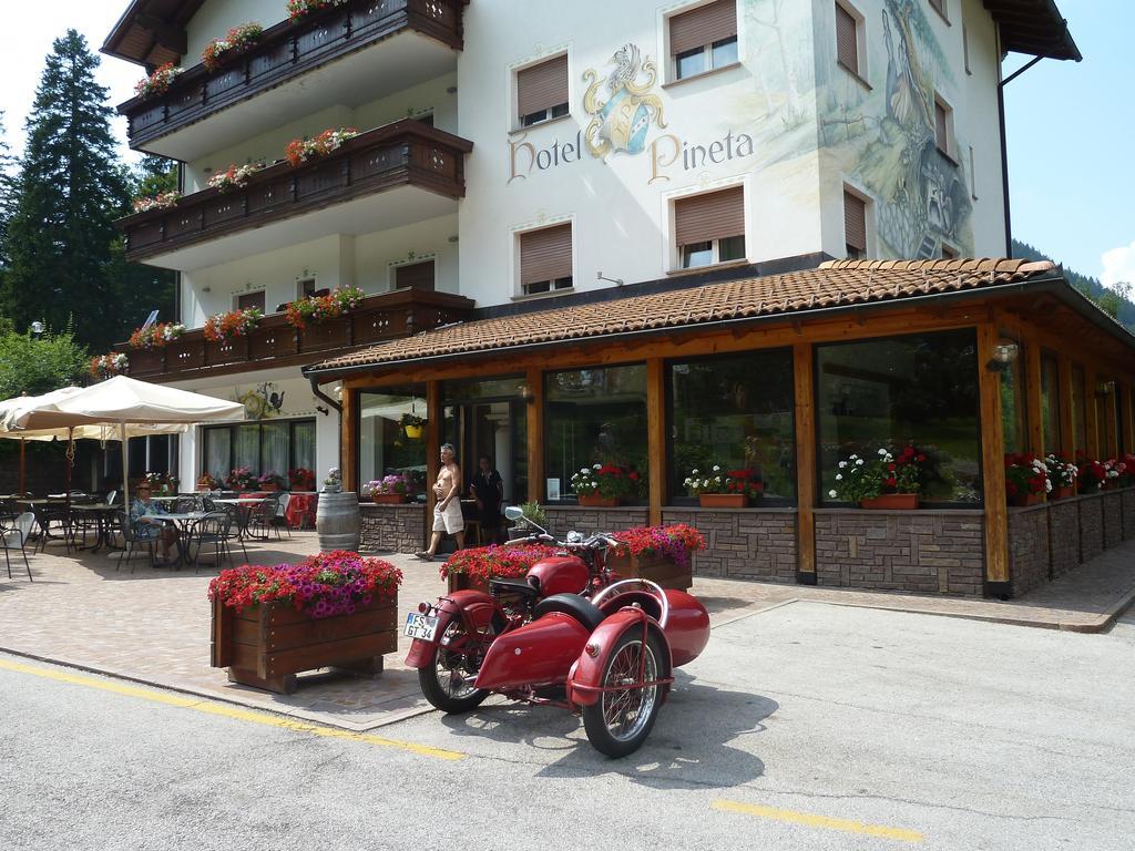 Hotel Pineta Baselga di Pinè Eksteriør bilde